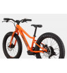 CANNONDALE KIDS TRAIL PLUS 20"