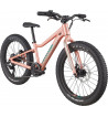 KIDS TRAIL PLUS 20"