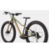 KIDS TRAIL PLUS 24"