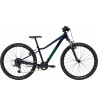 CANNONDALE TRAIL 24"