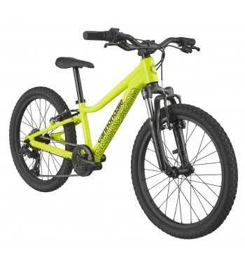 CANNONDALE TRAIL 20"