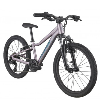 CANNONDALE TRAIL 20"