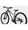 Cannondale Trail 26″ – Horský bicykel 26″ | Ľahký rám, 8-rýchlostí, kotúčové brzdy