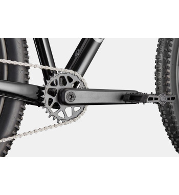 Horský bicykel Cannondale Trail 2 – Špičkový výkon na traile