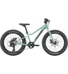 Cannondale Kids Trail Plus 20 – detský horský bicykel s kotúčovými brzdami | Bike Centrum Prešov