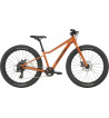 Cannondale Kids Trail Plus 24 – kvalitný detský horský bicykel 24″ na trail a do terénu