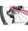 CANNONDALE TOPSTONE CARBON APEX AXS